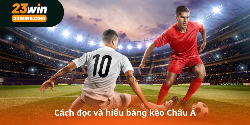 Cách đọc và hiểu bảng kèo Châu Á