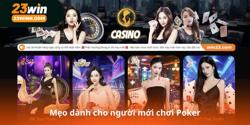 Mẹo dành cho người mới chơi Poker