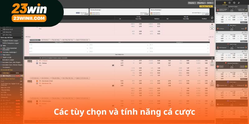 Các tùy chọn và tính năng cá cược