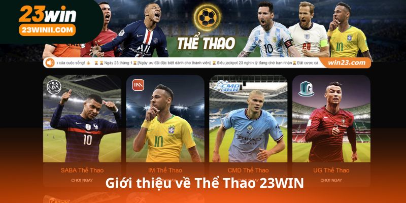 Giới thiệu về Thể Thao 23WIN