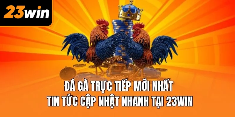 đá gà trực tiếp mới nhất